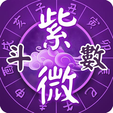 飛星 怎麼看|飛星紫微斗數免費排盤 